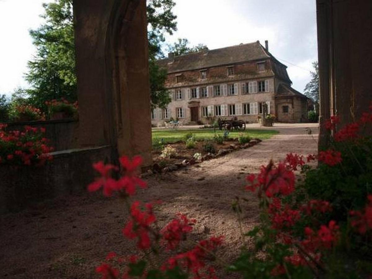 Chambres D'Hotes Chateau De Grunstein Стоцхейм Экстерьер фото